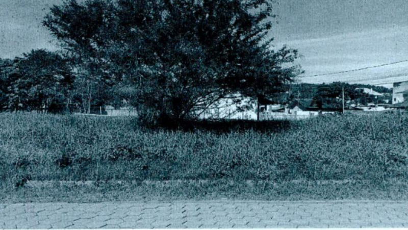 Terreno com 443,10m² em área urbana, desocupado