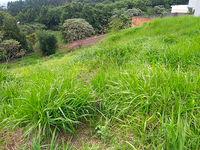 Terreno em Chapecó SC com 364m²