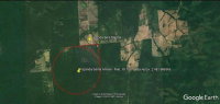 Fazenda Santa Amália com 2.481,67 ha em Juara-MT