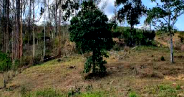 Chácara com 53.046m² em Vila Pavão/ES