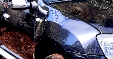 Camioneta Renault Duster 20 D 4X2 2013