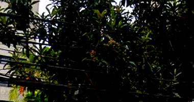 Sala Comercial com 58,15m² em Perdizes, São Paulo