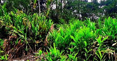 Área de 41.511 m² em São Bernardo do Campo/SP