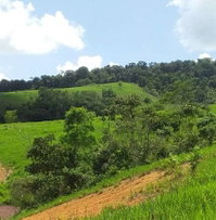 Imóvel Rural com 330.000m² em Cajueiro/AL