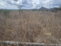 Terreno 158,8m² em Arcoverde/PE -