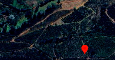 Terreno Rural com Plantação de Café em Simonésia/MG