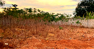 Terreno em Loteamento Dama de Ouro II