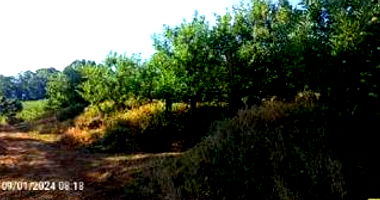 Imóvel Rural com 19,360 ha em Tangará-SC