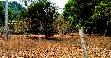 Parte ideal de área rural com 28,03 hectares, sem benfeitorias