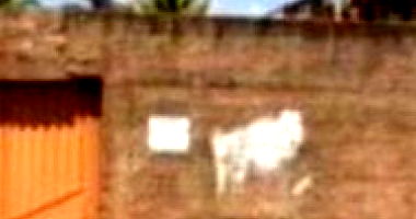 Casa com 104 m² em Ourilândia do Norte