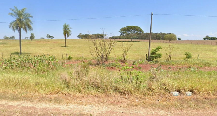 Gleba Rural de 120,516 hectares em Rosana - SP