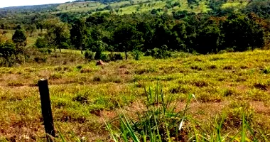 Chácara Rural 6,76 ha com Pastagem e Cercas