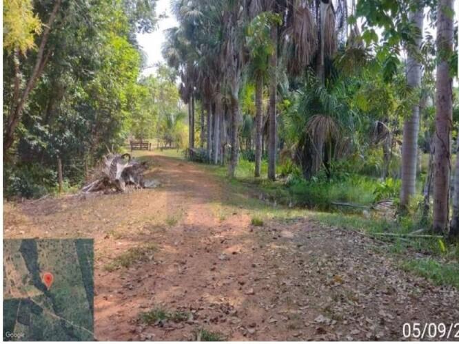 Imóvel Rural com 153,10 ha - Gleba Olho D’água, Tocantinópolis