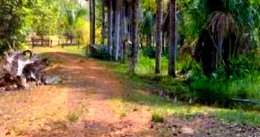 Imóvel Rural com 153,10 ha - Gleba Olho D’água, Tocantinópolis