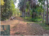 Imóvel Rural com 153,10 ha - Gleba Olho D’água, Tocantinópolis
