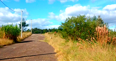 Terreno em Harmonia/RS com 286m²