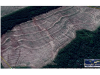 Sítio 38,5 hectares com mata ciliar em Ubiratã/PR belong to 4ª Vara Cível de Cascavel/PR
