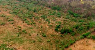 Fazenda rural com 492,92 hectares em Vila Bela da Santíssima Trindade