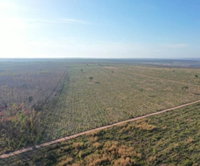 Fazenda Três Riachos com 601,15 ha totalmente ocupada