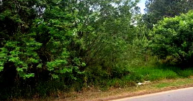 Terreno Amplo no Centro Empresarial Forquilhas