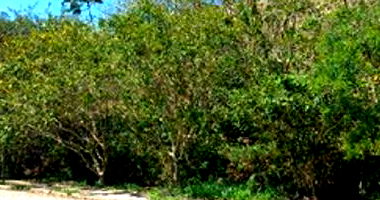 Terreno em Caraguatatuba com 1ª Praça em 15/12