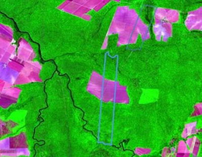Terreno Rural 1.550 ha, Ocupado, Excelente para Manejo Florestal