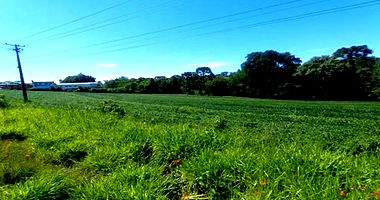 Terreno Rural com Mata Nativa e Área Agrícola