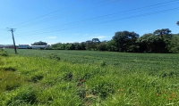 Terreno Rural com Mata Nativa e Área Agrícola