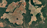 Terreno Rural Locado com 201,63ha em Formosa do Rio Preto/BA