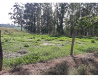 Sítio Lageado IV - Área de 20.046,75 m² em Piracicaba
