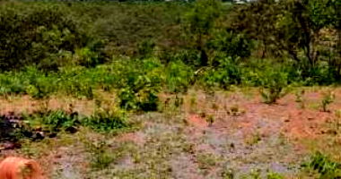 Direitos possessórios de lote de 400m² em Brasília/DF