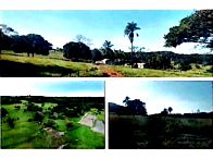 Fazenda com 181,40 hectares, área para cultura, desocupada