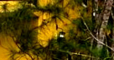 Casa com 2 suítes, 1 quarto, 2 banheiros e 3 sacadas, ocupada