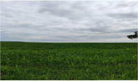 Fazenda Bebedouro 41,99 ha - Agricultura em Amorinópolis/GO