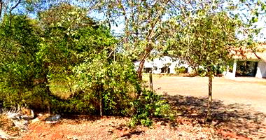 Imóvel Urbano com Área Total de 775.00 m² Ocupado