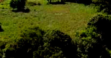 Complexo Agroindustrial 69 hectares com 25.000 m² de área construída em Xaxim/SC