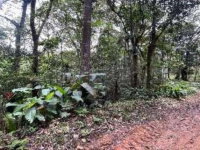 Terreno Rural 45,38 ha em Blumenau/SC -