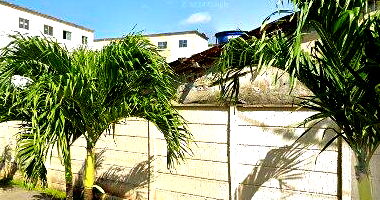 Apartamento 2 quartos com área de serviço e sala, 41.79m²
