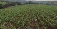 Chácara Rural com 29.387m² em Viadutos-RS