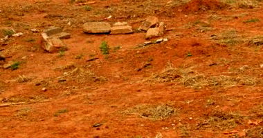 Terreno com 250m² no Parque Residencial Bella Itália em Pérola/PR