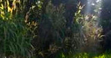 Terreno Urbano com 920,51m² em Dois Vizinhos-PR