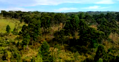 Fração Ideal de sítio com 28,89 hectares em Correia Pinto/SC