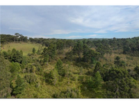 Fração Ideal de sítio com 28,89 hectares em Correia Pinto/SC