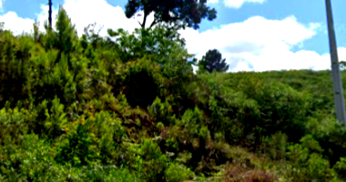 Terreno amplo com 2.160m², 6 lotes, sem benfeitorias