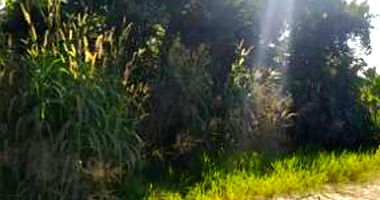 Terreno Urbano com 920,51m² em Dois Vizinhos-PR