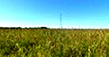 Imóvel Rural de 45 Hectares em Paraúna-GO
