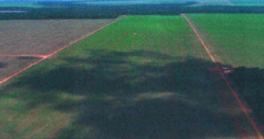 Fazenda com 200 hectares em Sorriso/MT