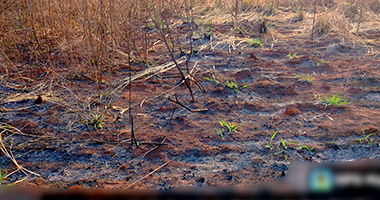 Terreno 253m² em Nova Alvorada do Sul
