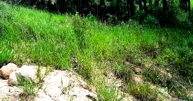 Terreno amplo de 1.185m² com potencial para alto padrão