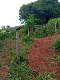 Área Rural com 20.000m² em Itaquaral de Goiás